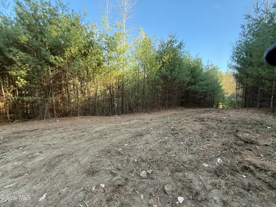 L22.2 Cameron Road, Athol, NY 12810 - #3