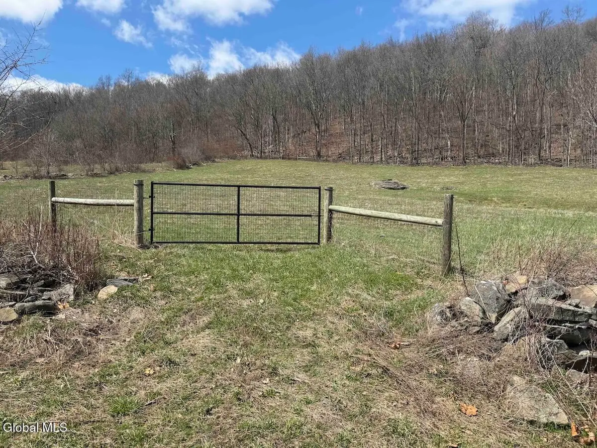 L25 Brand Hollow Road, Durham, NY 12422 - #1