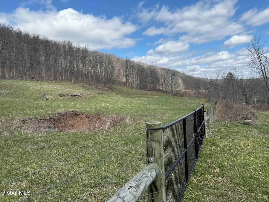 L25 Brand Hollow Road, Durham, NY 12422 - #3