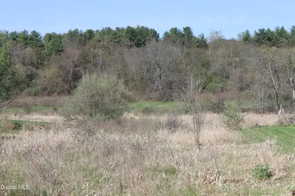 2-D Bullock Road, New Scotland, NY 12159