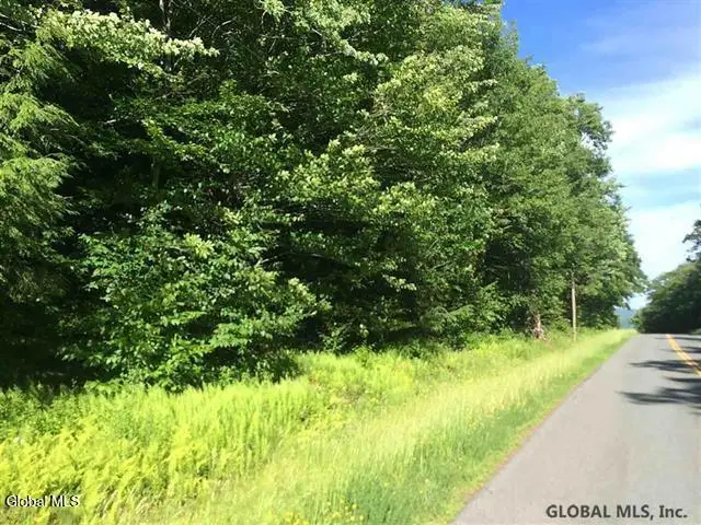 404 Toad Point Road, Petersburgh, NY 12138 - #3