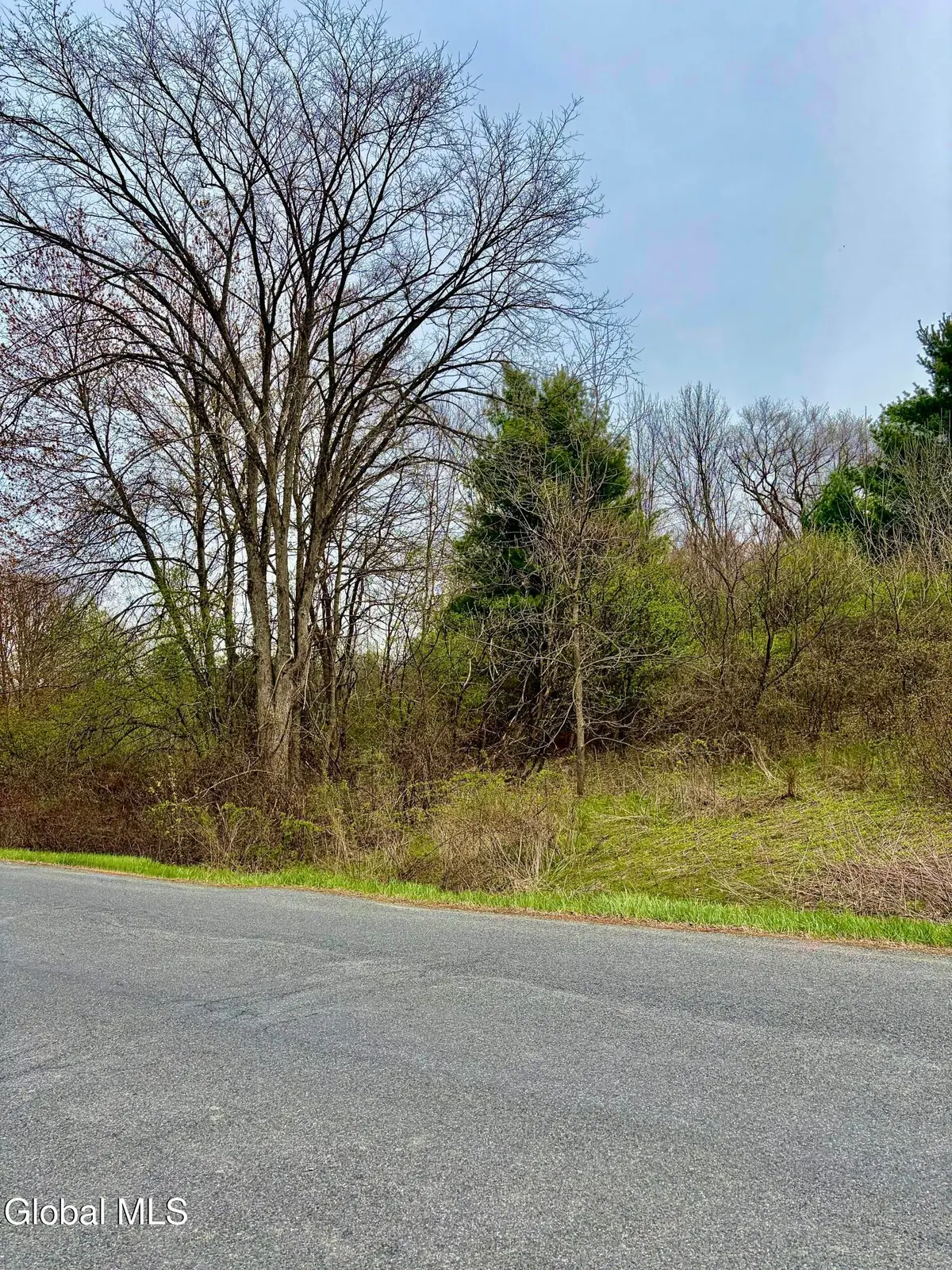 L37.4 Burden Lake Road, Schodack, NY 12061 - #1