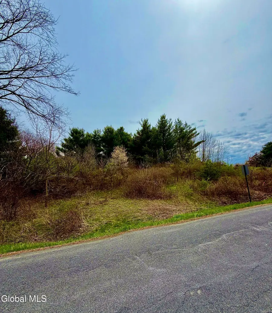L37.4 Burden Lake Road, Schodack, NY 12061 - #2