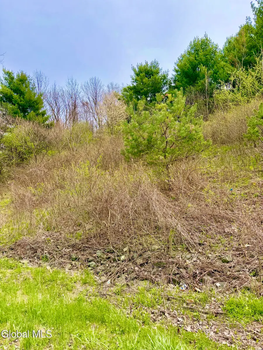 L37.4 Burden Lake Road, Schodack, NY 12061 - #3