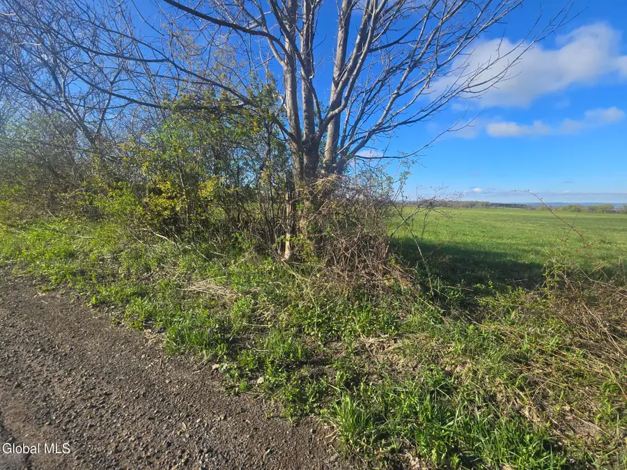 L31.2 Baum Road, Saint Johnsville, NY 13452 - #3