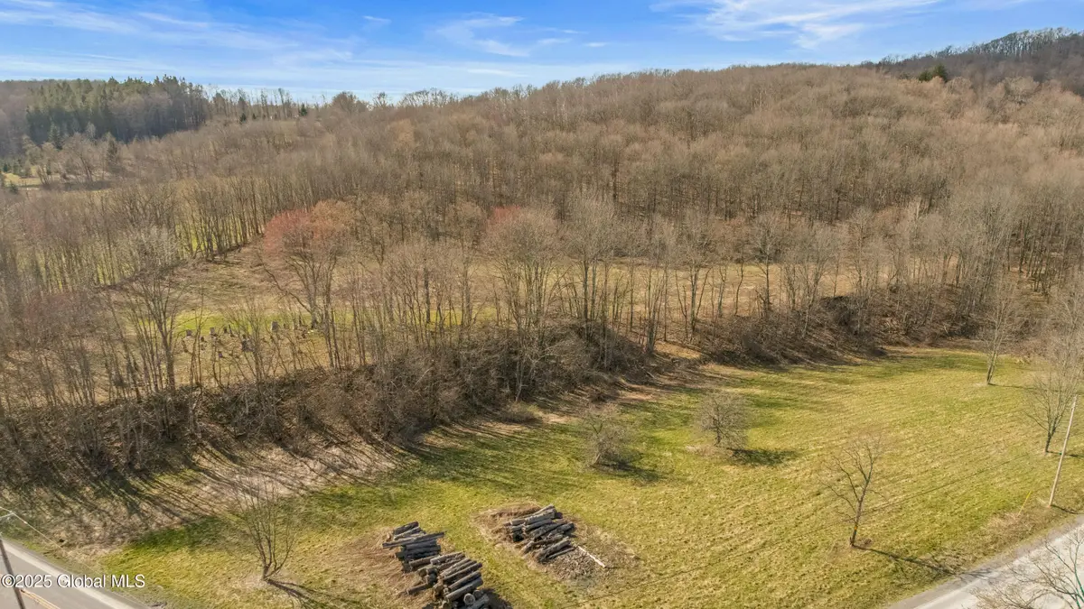 L9.111 Lutheranville Road, Summit, NY 12175 - #1