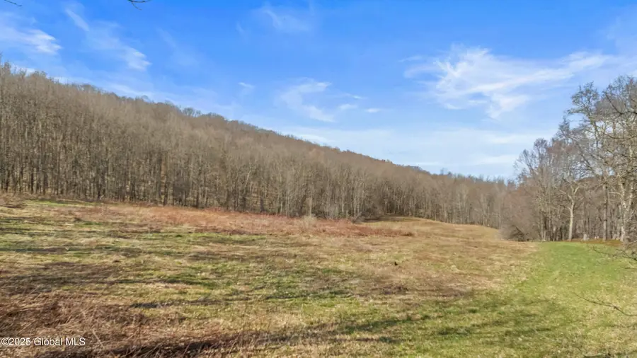 L9.111 Lutheranville Road, Summit, NY 12175 - #2