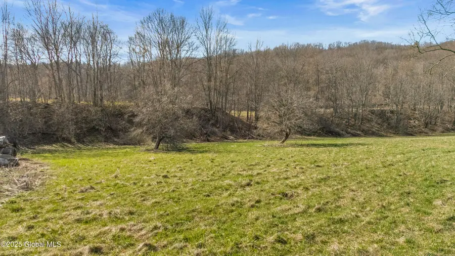 L9.111 Lutheranville Road, Summit, NY 12175 - #3