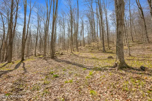 L9.113 Lutheranville Road, Summit, NY 12175