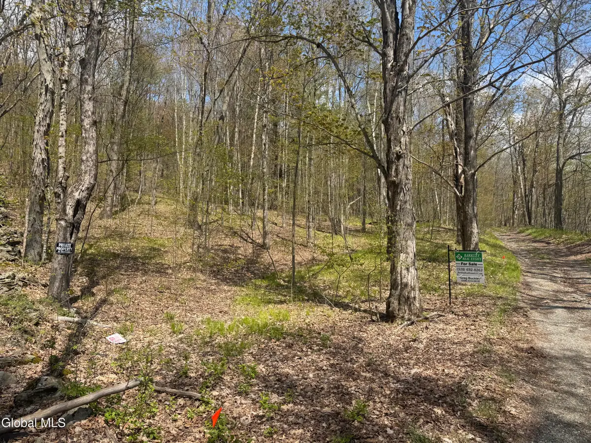 L25 Bromley Lane, Hebron, NY 12832 - #1