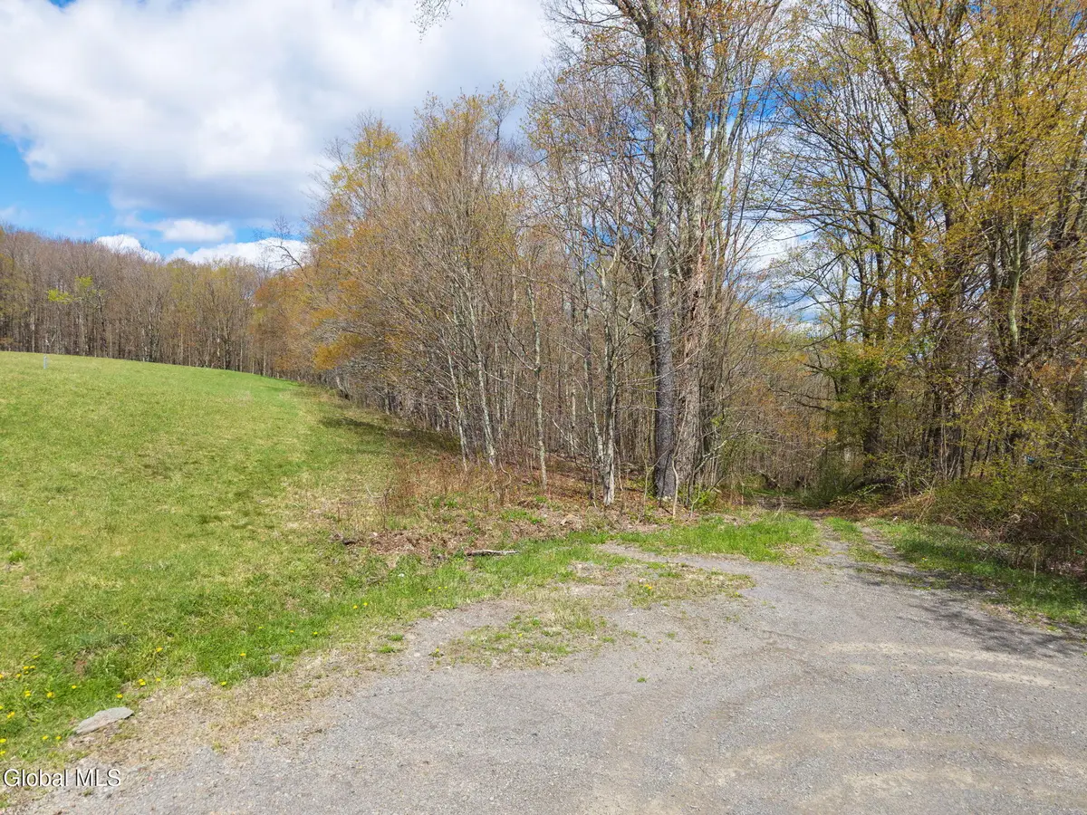 L25 Fuller District Road, Jefferson, NY 12093 - #1