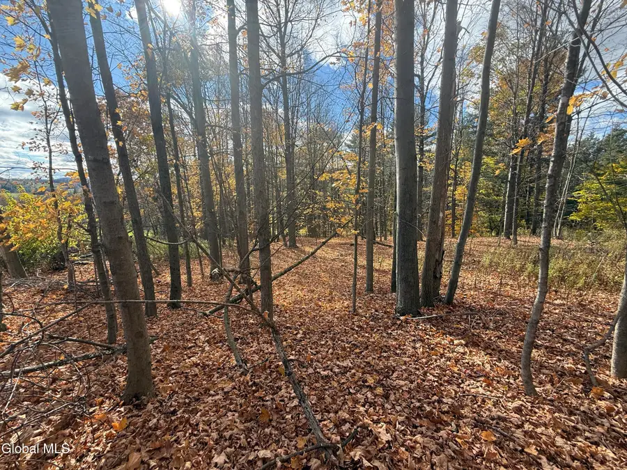 1585 Carlton Road, Whitehall, NY 12887 - #2