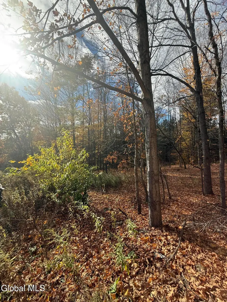 1585 Carlton Road, Whitehall, NY 12887 - #3
