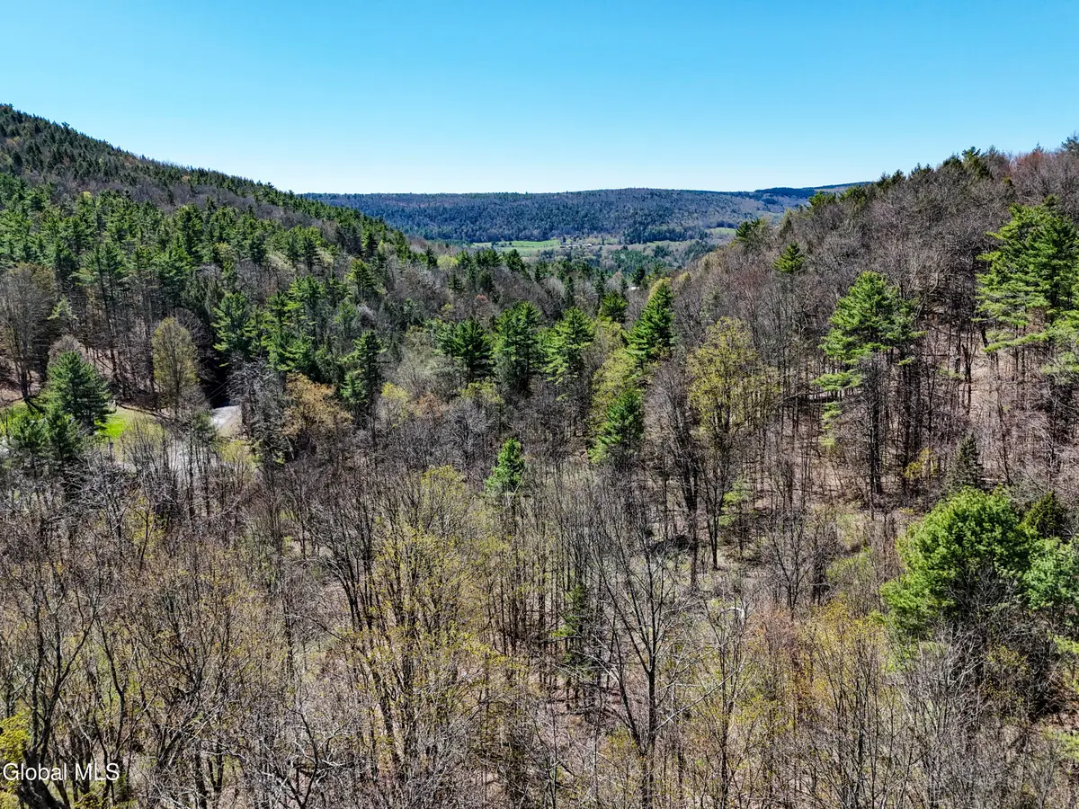 L19 Mary Taylor Road, Middleburgh, NY 12122 - #1