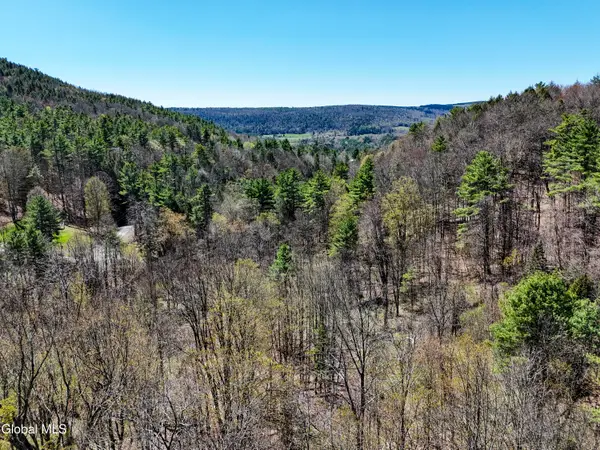 L19 Mary Taylor Road, Middleburgh, NY 12122