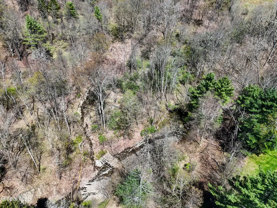 L19 Mary Taylor Road, Middleburgh, NY 12122 - #3