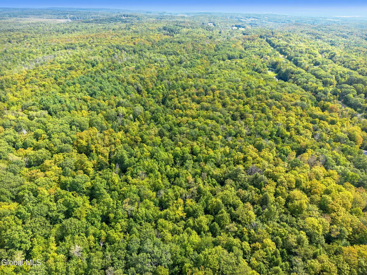 L100 Skyline Drive, Delanson, NY 12053 - #1