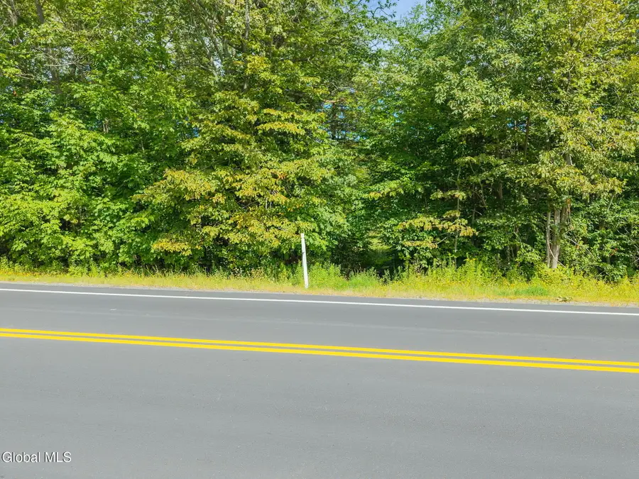L100 Skyline Drive, Delanson, NY 12053 - #2