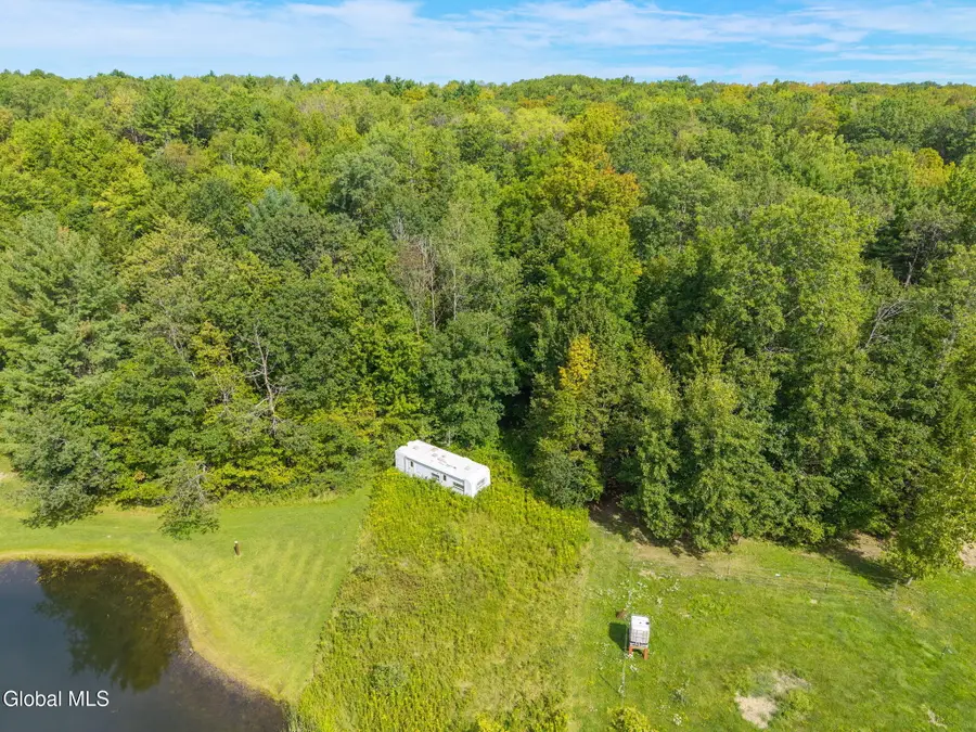 L100 Skyline Drive, Delanson, NY 12053 - #3