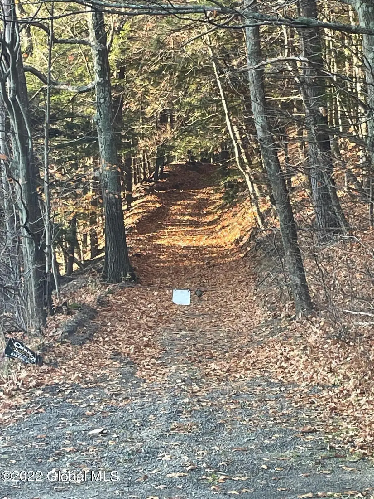L26 & L27 Ecker Hollow Road, Cobleskill, NY 12043 - #1