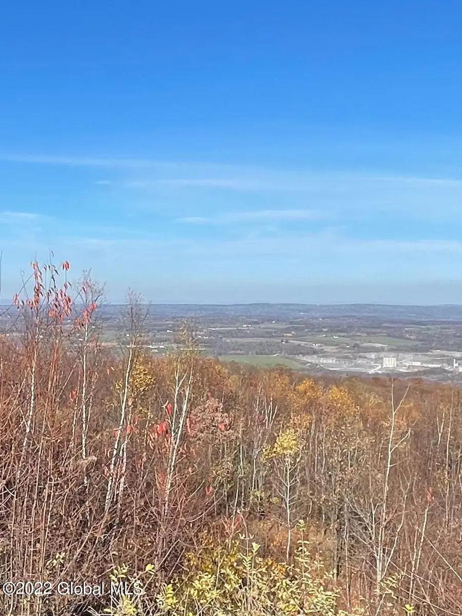 L26 & L27 Ecker Hollow Road, Cobleskill, NY 12043 - #2
