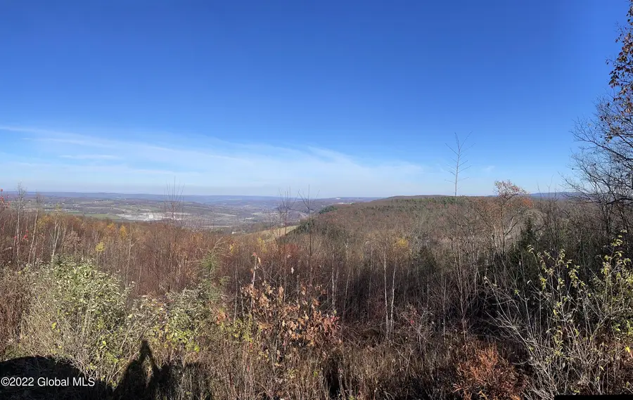 L26 & L27 Ecker Hollow Road, Cobleskill, NY 12043 - #3