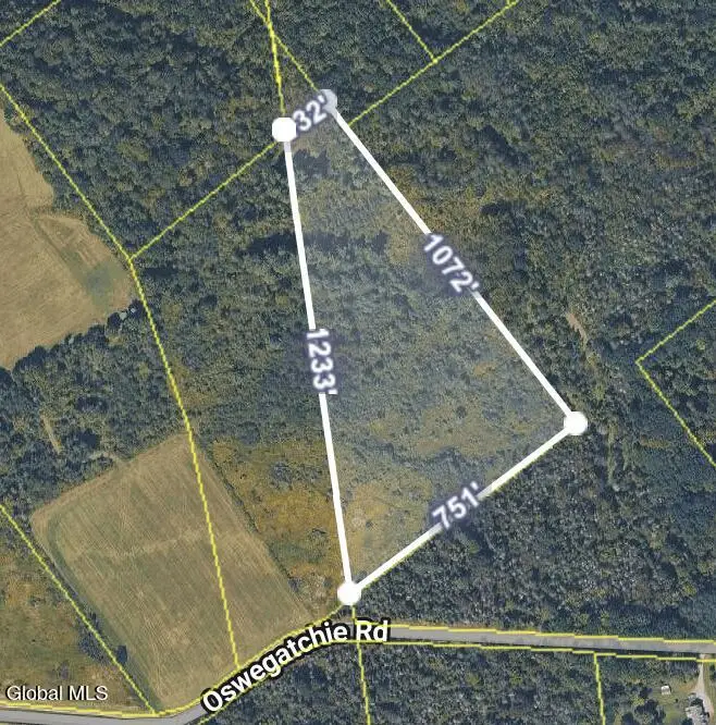 L14.023 Oswegatchie Road, Mohawk, NY 13428 - #3