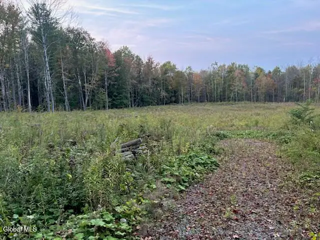 L100.1 Perth Road, Hagaman, NY 12086 - #1