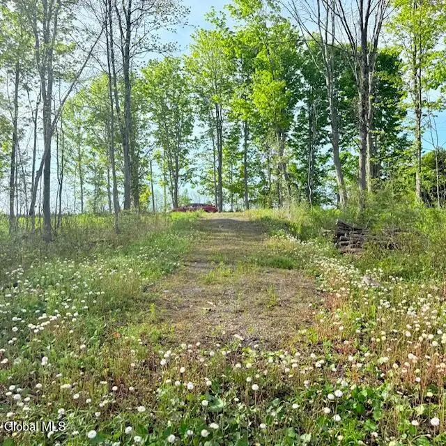 L100.1 Perth Road, Hagaman, NY 12086 - #2