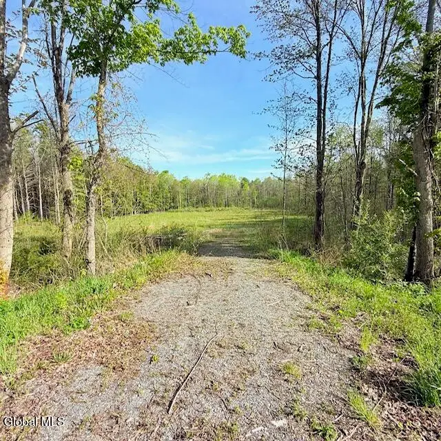 L100.1 Perth Road, Hagaman, NY 12086 - #3