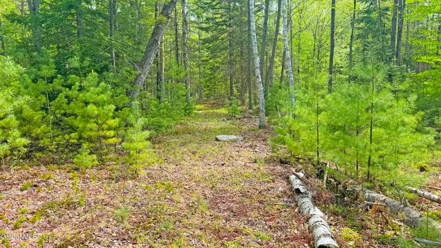 L9 Byrd Pond, Chester, NY 12853 - #3