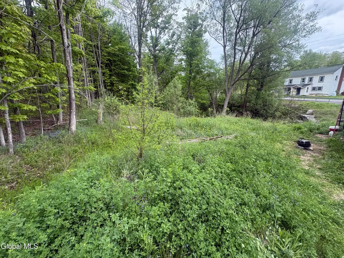 L 1 Mariaville Road, Duanesburg, NY 12056 - #1