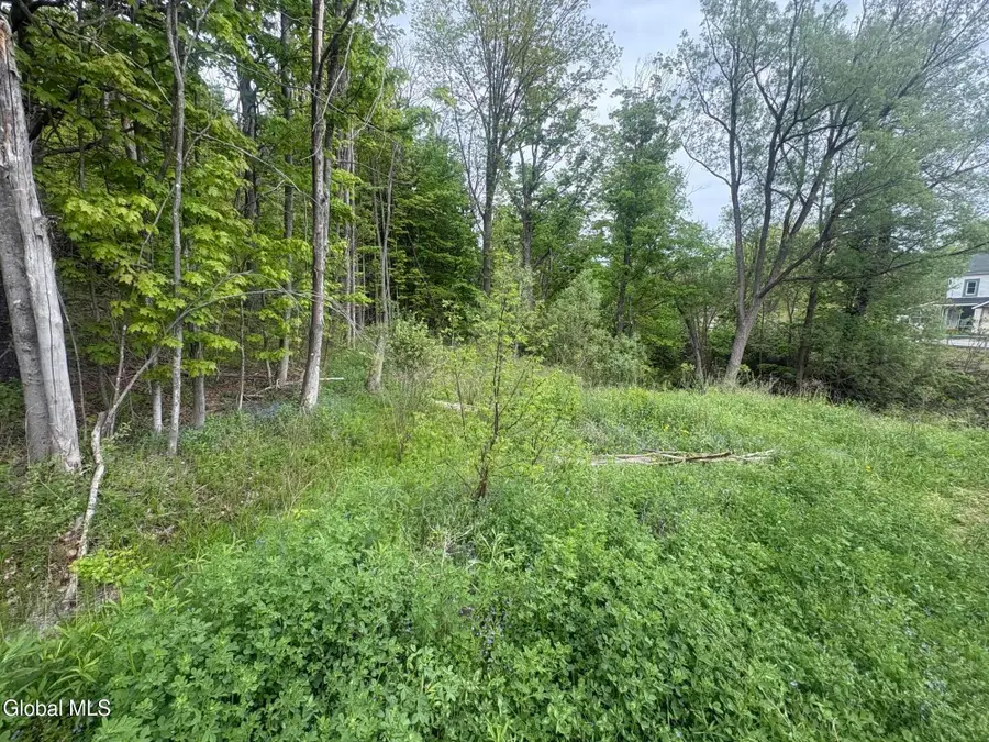 L 1 Mariaville Road, Duanesburg, NY 12056 - #2