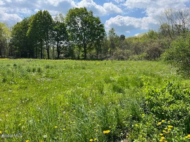 296 Evergreen Road, Carlisle, NY 12043 - #3
