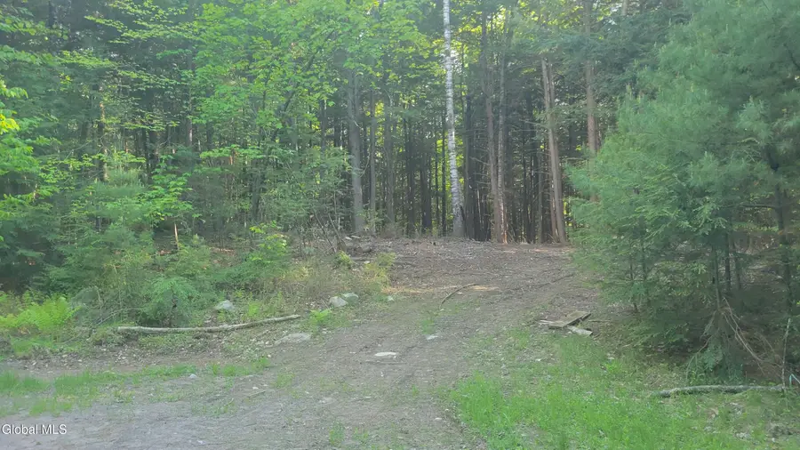 L1.34 Mcphillips Pine Lane, Chester, NY 12817 - #2