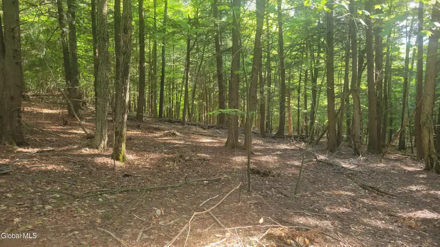 L1.34 Mcphillips Pine Lane, Chester, NY 12817 - #3
