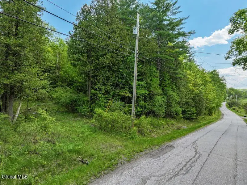 L2 Liddle-harris Road Road, Putnam Station, NY 12861 - #2