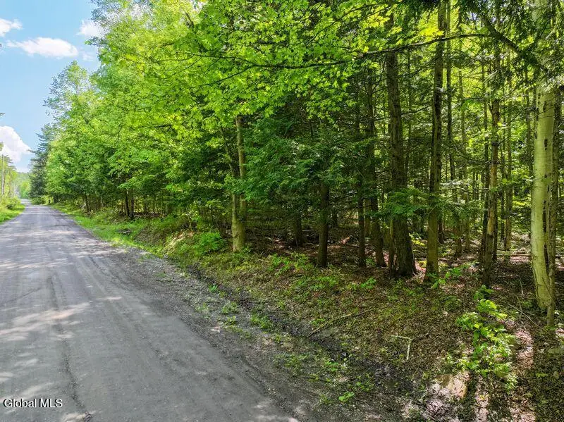 L2 Liddle-harris Road Road, Putnam Station, NY 12861 - #3