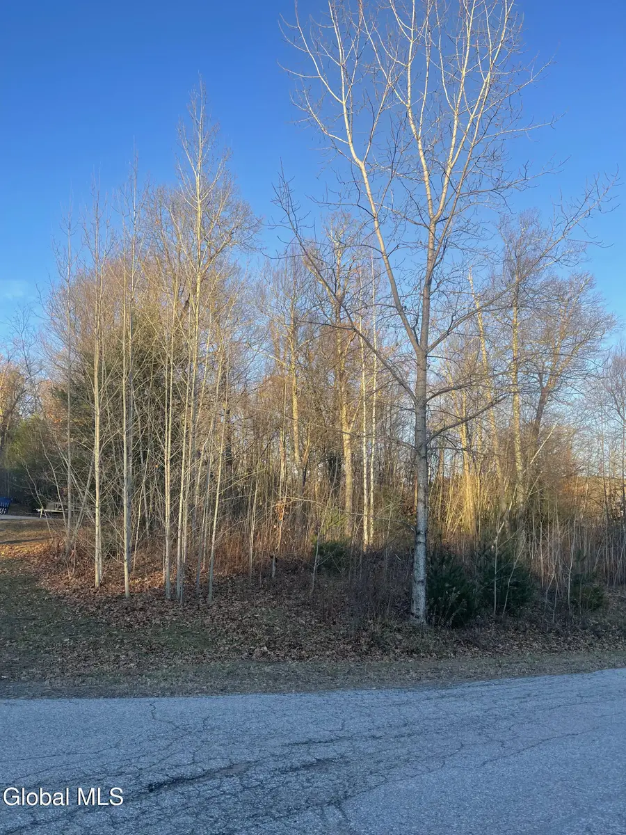L10 Landon Drive, Johnstown, NY 12078 - #2