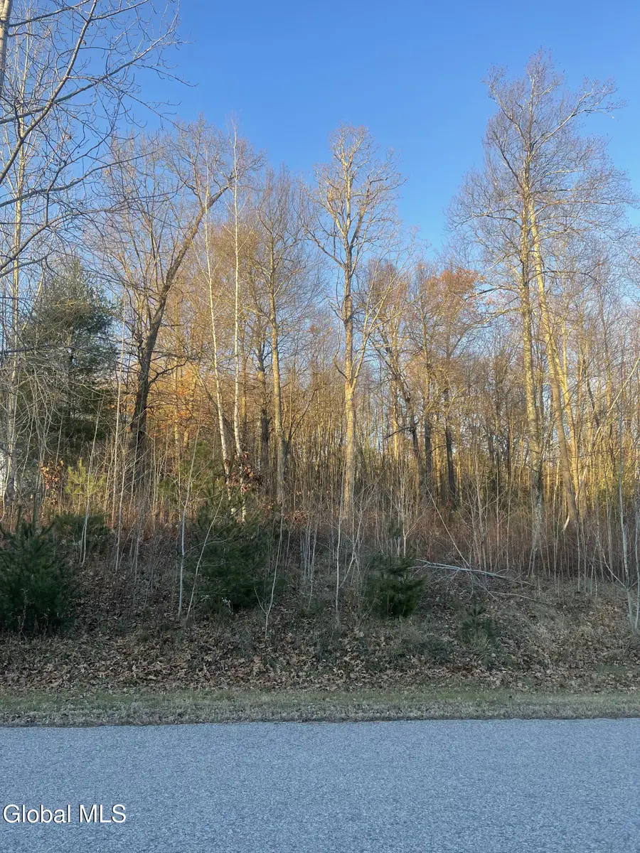 L10 Landon Drive, Johnstown, NY 12078 - #3