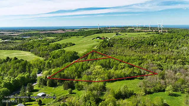 L42 Buyea Road, Cazenovia, NY 13035 - #2
