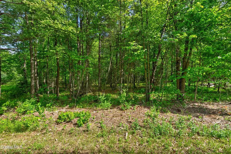 L1 27.11 Ruggles Road, Wilton, NY 12831 - #3