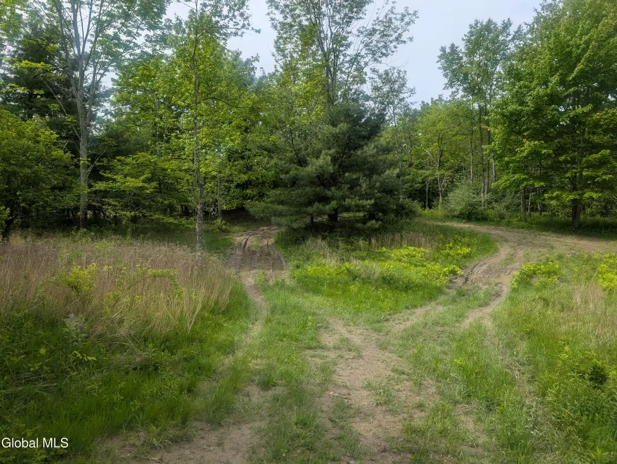 L.5 0 Hovey Avenue, Hoosick Falls, NY 12090 - #1