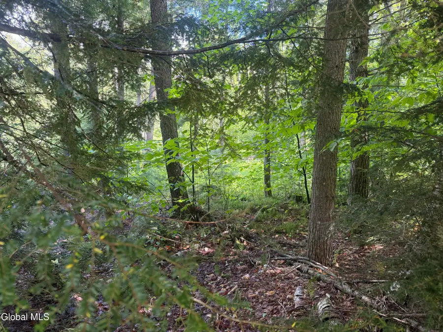 L46 Pinewood Rd North, Chester, NY 12817 - #2