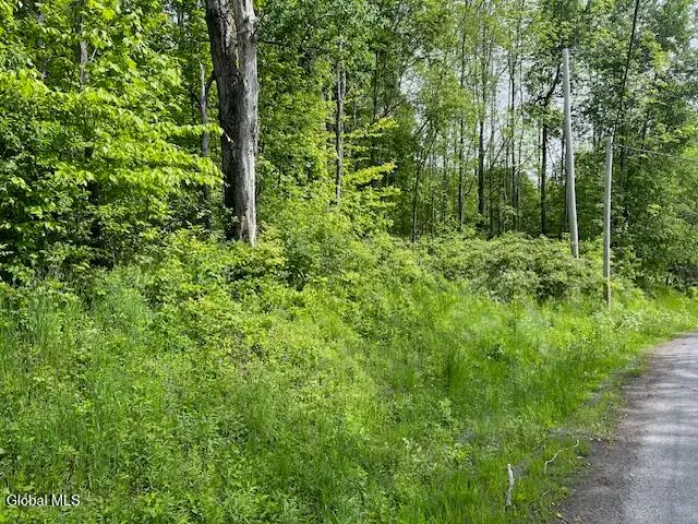 L9 Harrington, Gilboa, NY 12076 - #1
