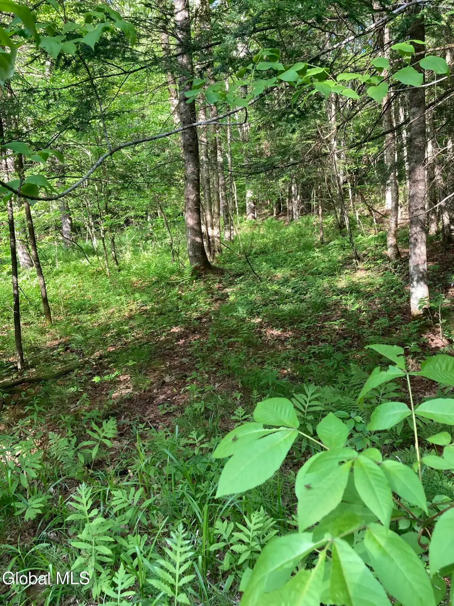 L3 Breed Hill Road, Crown Point, NY 12928 - #2