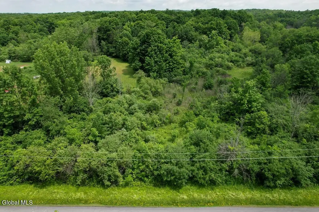 00 Green Corners Road, Glenville, NY 12010 - #1