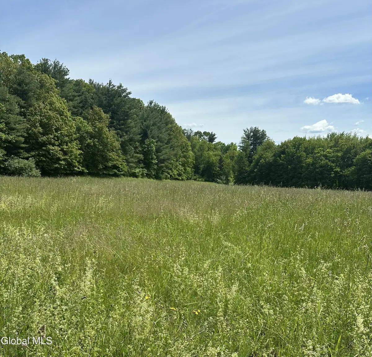 171 Orchard Road, Ghent, NY 12075 - #1