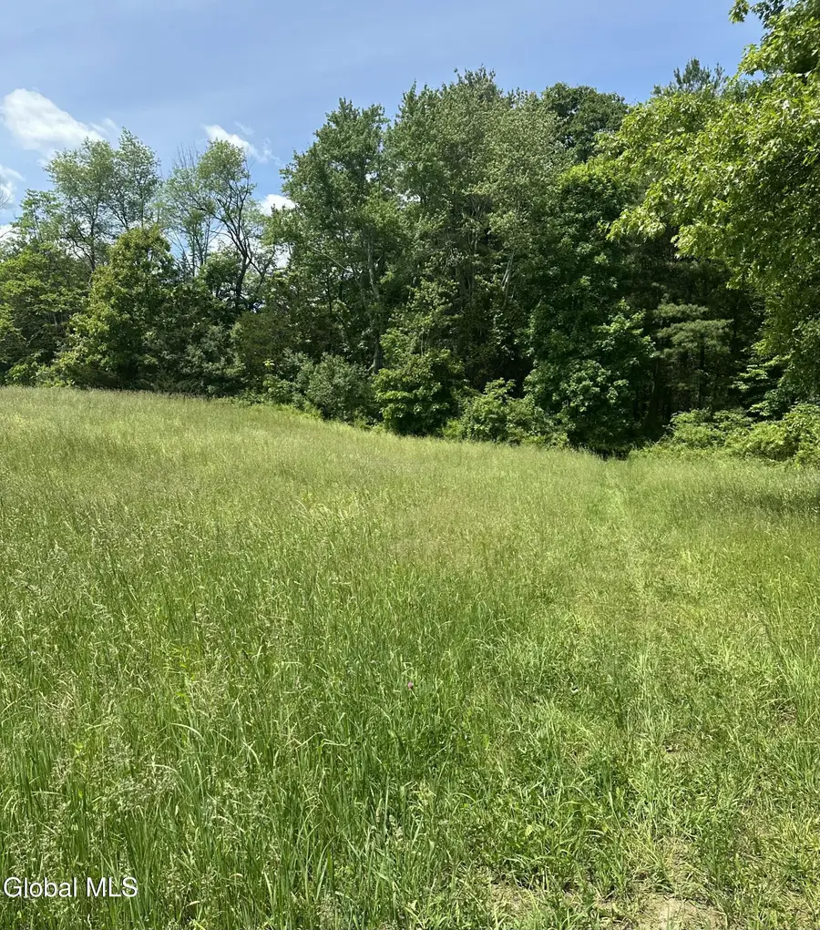 171 Orchard Road, Ghent, NY 12075 - #3
