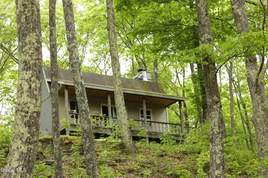 241 Minke Road, Warnerville, NY 12187 - #2
